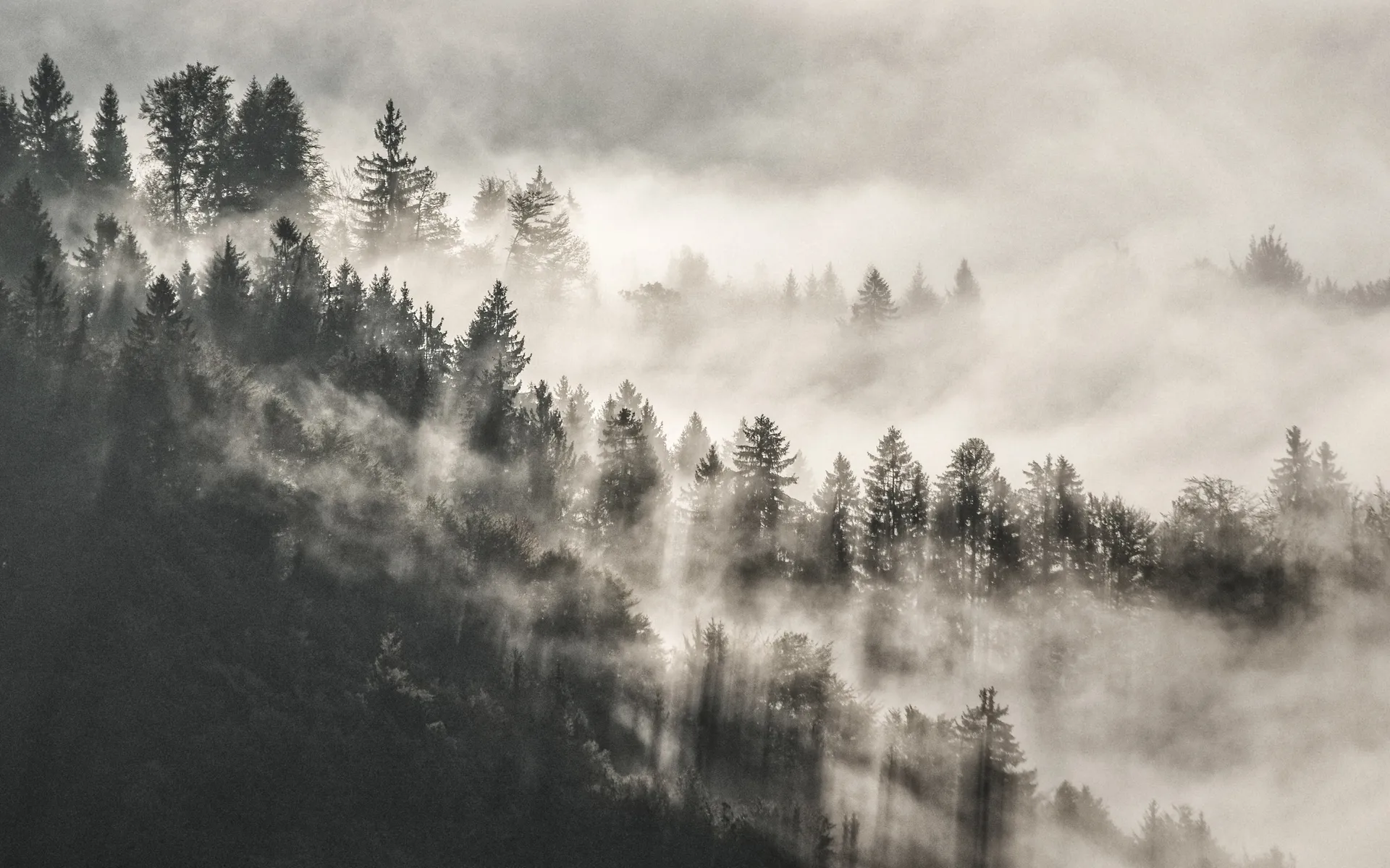 Author: Adam Smok<https://www.flickr.com/photos/37034324@N05/>